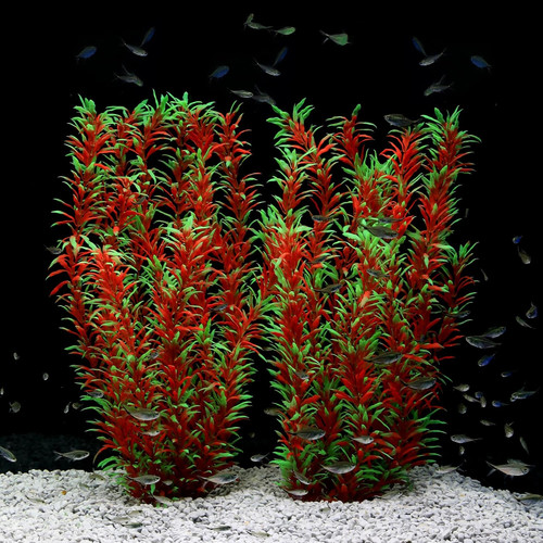 Decorazione acquario piante - decorazione,