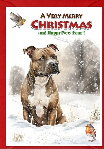 Biglietto natale - biglietto,