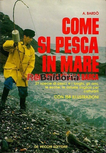 Come pesca mare da - in, terra