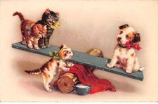 Gatti - N°82102 - Gatti che