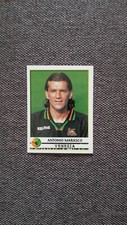 FIGURINA PANINI CALCIATORI