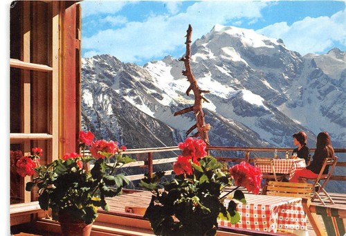 Bg13628 der ortler ortles - bg13628, l