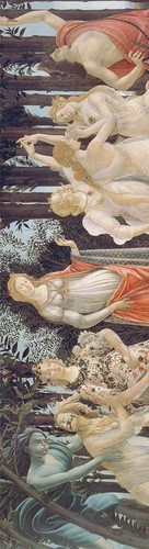 Primavera sandro - la,