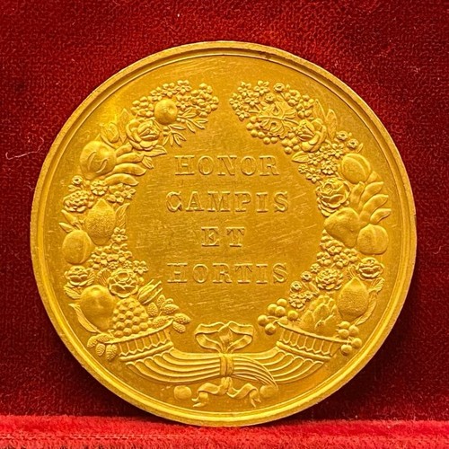 3356 medaglia commemorativa - medaglia,
