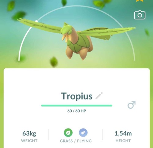 Shiny tropius t - shiny,