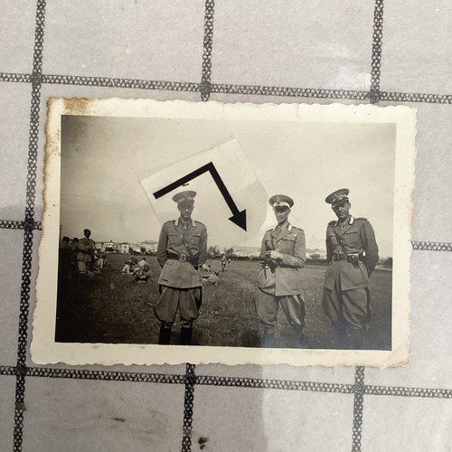 Granatieri sardegna gruppo - granatieri, sardegna,gruppo