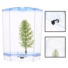  Piccolo Acquario Da Scrivania