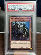 PSA8 Diecimila Drago 1° EU