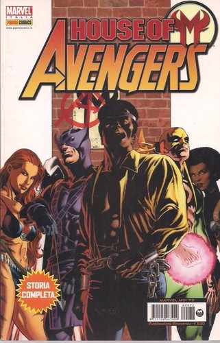 House avengers storia - house,