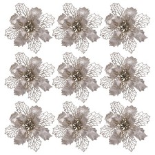  Fiori Di Stella Natale