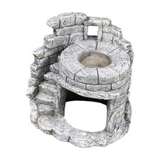 Rettili Nascondiglio Habitat