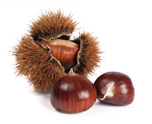 Marrone serino santimango - -,