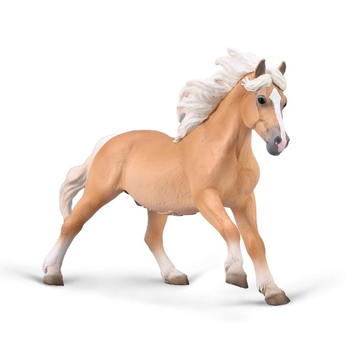 Collecta haflinger stallion - haflinger,