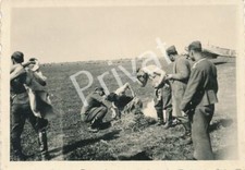 Foto soldati campo - foto,