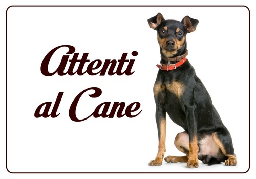 Pincher targa attenti cane - pincher, al