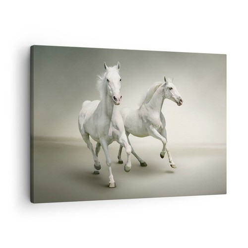 Quadro tela 70x50cm animali - tela,