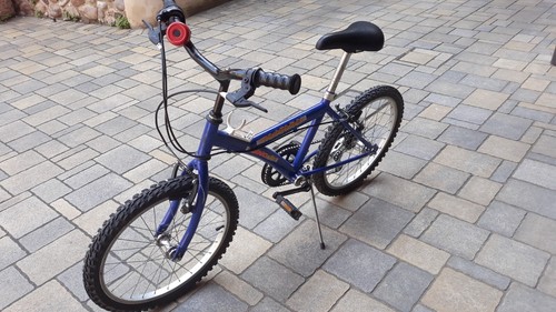 Dino mtb bicicletta bambino - dino,