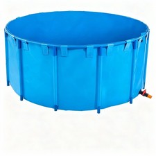 laghetto da giardino carpe koi