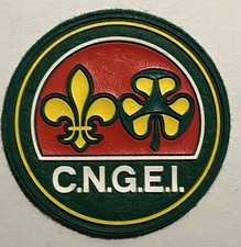 CNGEI Scout Distintivo Di Associazione Plastica Su Feltro