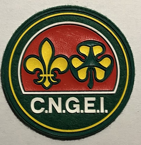 Cngei scout distintivo - distintivo, di