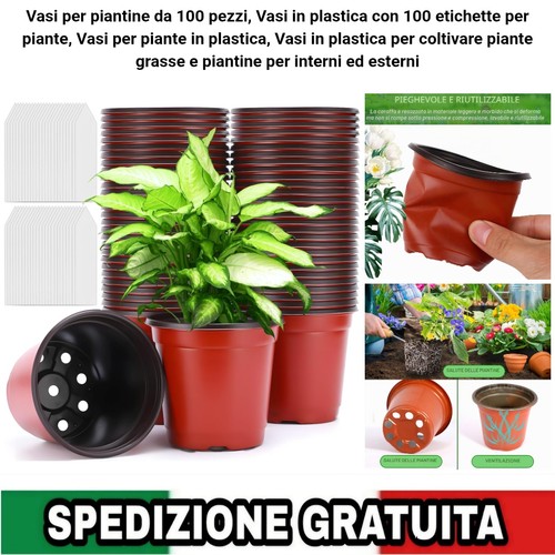 100 vasetti per - 100,