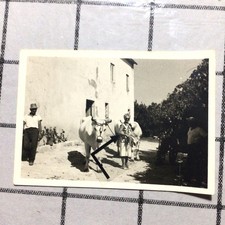 Amelia,Terni,donna,vacche,Casa
