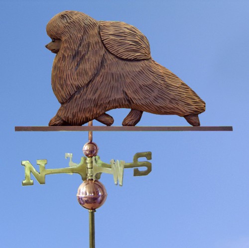 Pomerania intagliato mano - pomerania, a