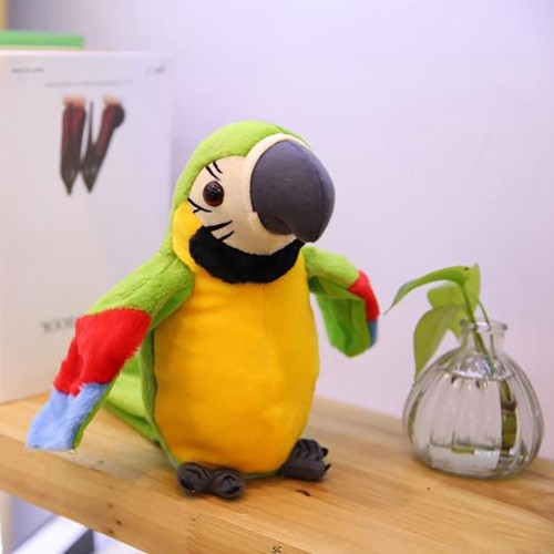 Pappagallo parlante - pappagallo,