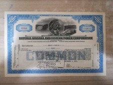 CERTIFICATI AZIONARI Buffalo