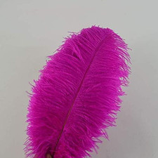 Creny 10 Pezzi Piuma Di