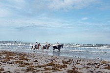 Padre Island Corpus Christi