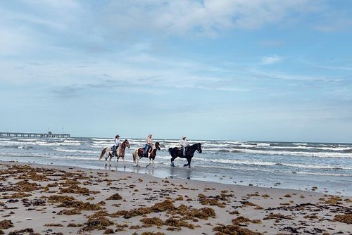 Padre island corpus - island, christi
