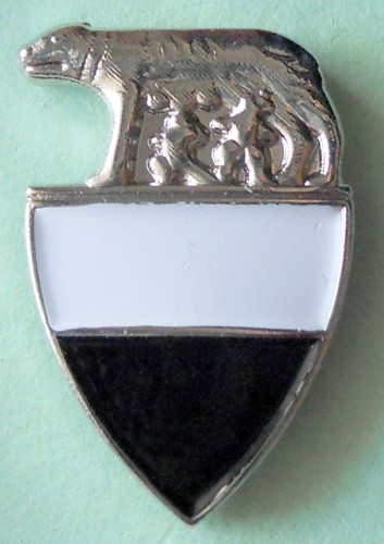 Distintivo spilla pin p - pin, s.p