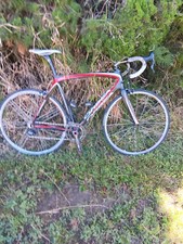 Orbea Orca Carbon 2010 57 CM