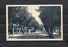 CARTOLINA - RICCIONE - VIALE