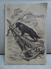 Soc ital terranova - soc., il