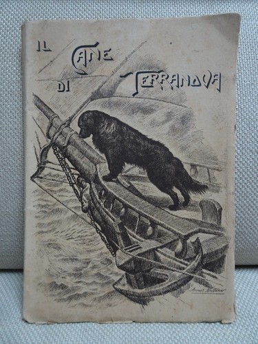 Soc ital terranova il - soc.,