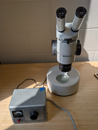 Microscopio stereo wild - stereo,
