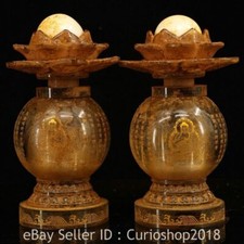 Vaso vaso parole Buddha