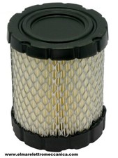 BRIGGS & STRATTON Filtro Aria