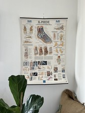 Poster Vintage atlante anatomia “Il piede” podologia Medicina