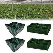 Confezione 2 Sacchetti Piante