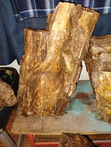 Raro unico pezzo legno - pezzo, di