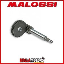 673677 INGRANAGGI RAPPORTI