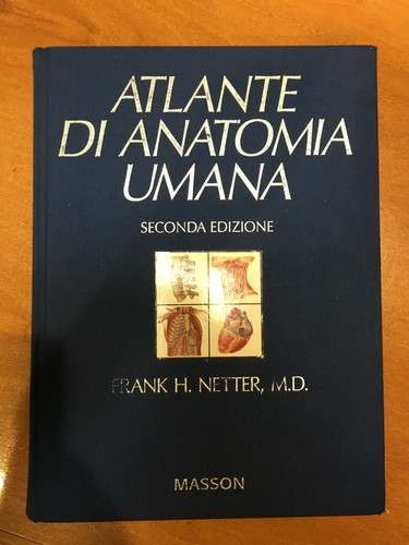 Atlante anatomia umana - di,