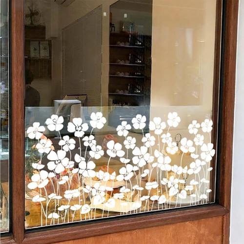 Finestra fiore arte - finestra, linea