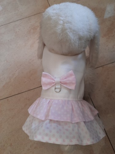 Accessori per cani - per, piccoli