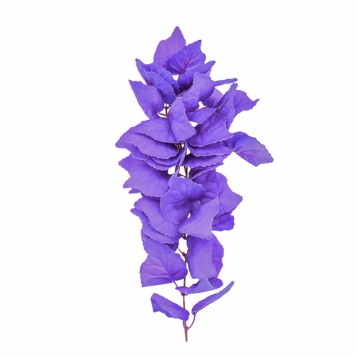 Piante acquatiche decorazione - ,