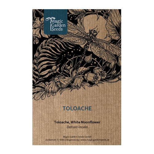 Toloache - inoxia),