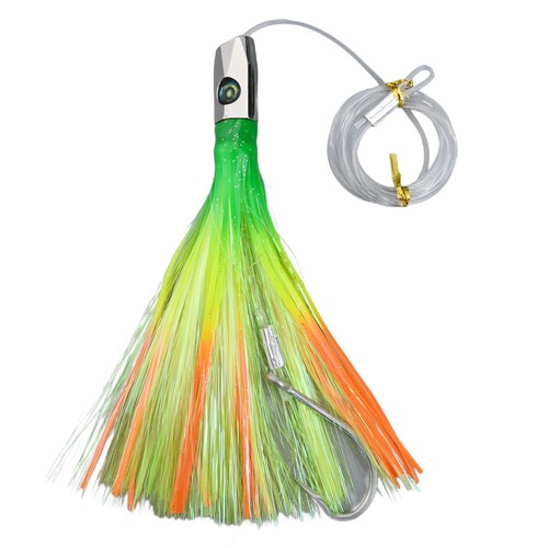 Pesce carnivoro mare - pesce,